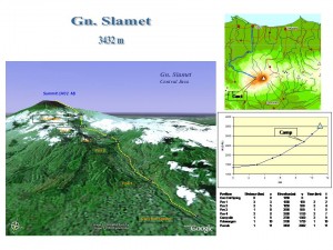 Mount Slamet Track