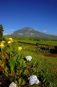 Mount Dempo view from Pagaralam