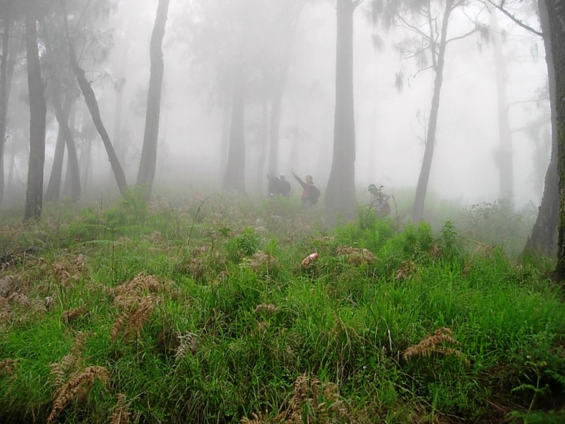 7-the-hikers-in-the-mist